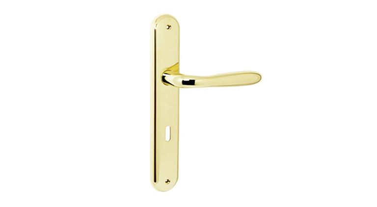 ROBOT maniglia con placca 